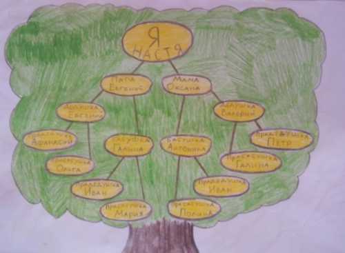Как нарисовать семейное дерево ребенку в школу