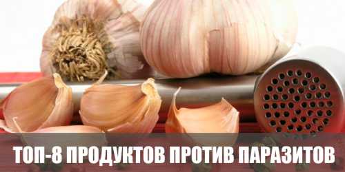 Листья и цветки полыни используются для лечения заболеваний желудка, а также полынь является мощным оружием против кишечных глистов